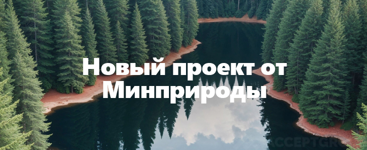 Лесопромышленный комплекс может получить право на дополнительную заготовку древесины