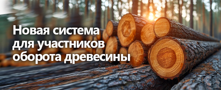 Новая система ФГИС ЛК для лесного комплекса