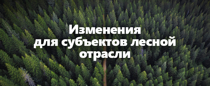 Продлены сроки разрешительных режимов для лесной отрасли