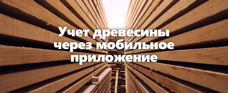Учет древесины через мобильное приложение