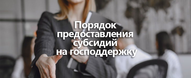 Порядок предоставления субсидий на господдержку