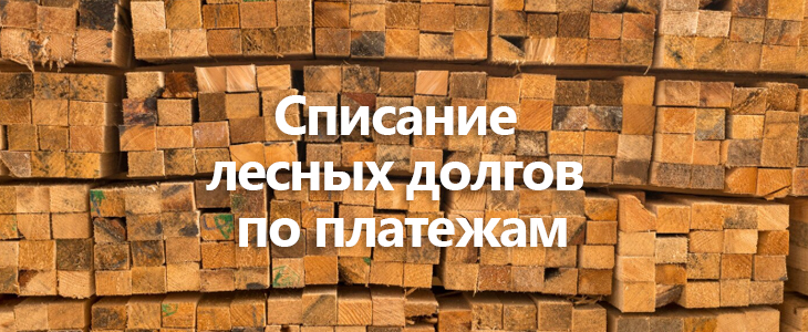 Утвержден порядок признания долгов безнадежными в сфере лесных отношений