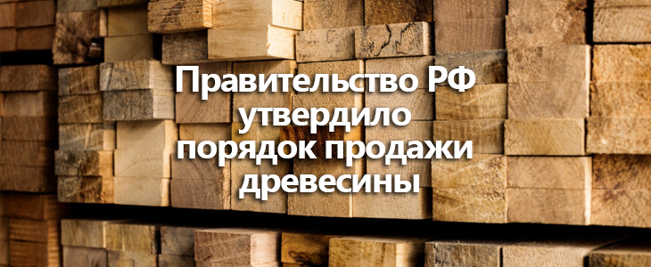 Правительство РФ утвердило порядок продажи древесины