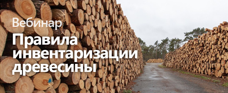Вебинар «Правила инвентаризации древесины»